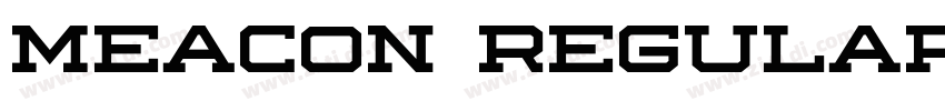 Meacon Regular字体转换